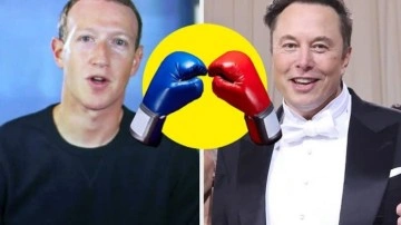 Zuckerberg'den Elon Musk'a yanıt: 26 Ağustos'ta dövüşe hazırım